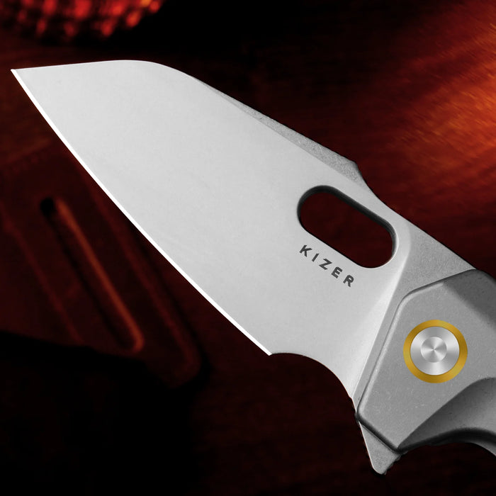 Kizer Ki3701A2 Takahe (S35VN, Sheepsfoot, Matte DLC Ultra, Titanium, Frame Lock) Pocket Knife