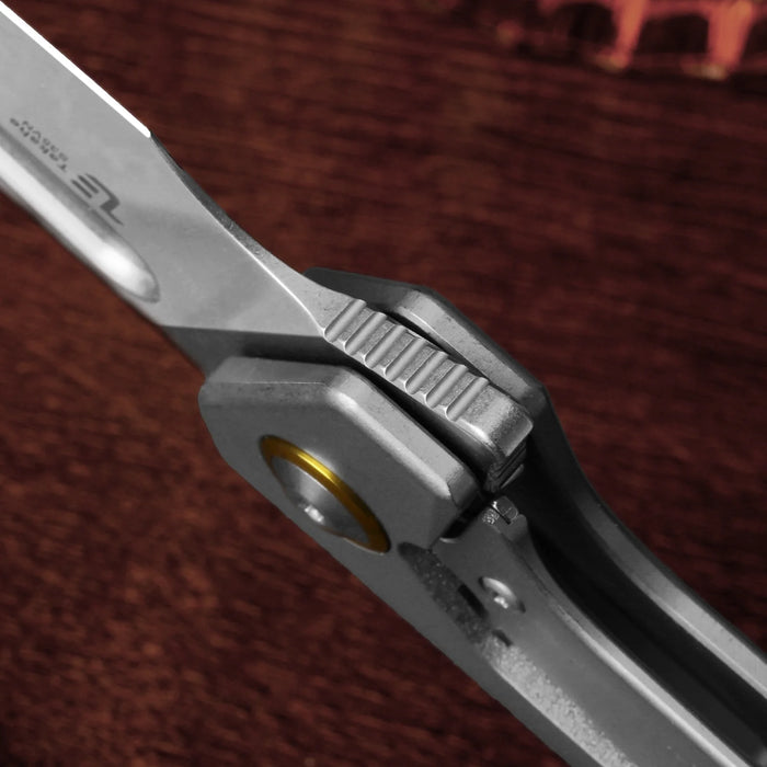 Kizer Ki3701A1 Takahe (S35VN, Sheepsfoot, Stonewashed, Titanium, Frame Lock) Pocket Knife