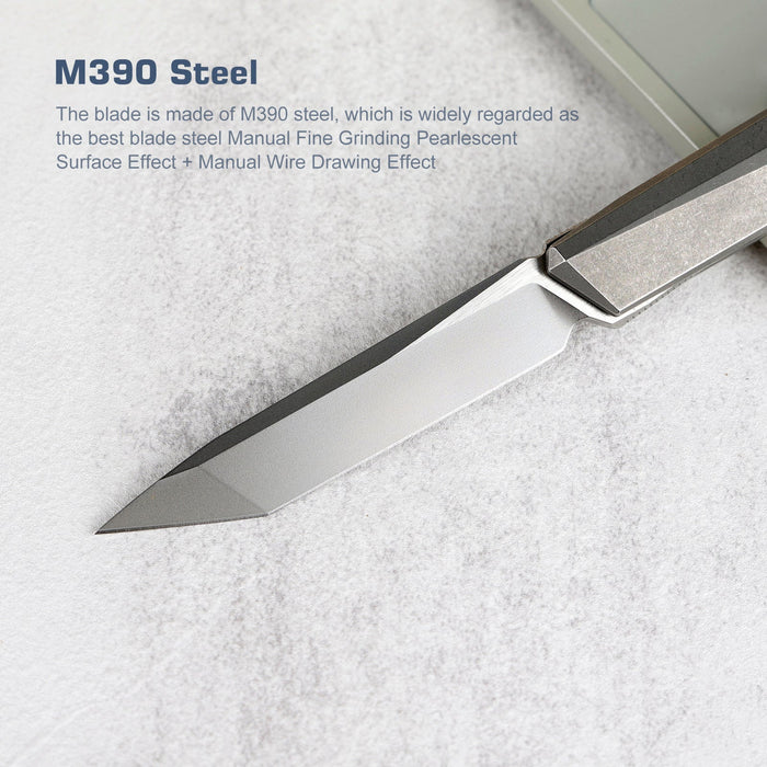Remette EGA2 RT-ELIGO (M390, Tanto, Pearlescent, Titanium, Liner Lock) Pocket Knife