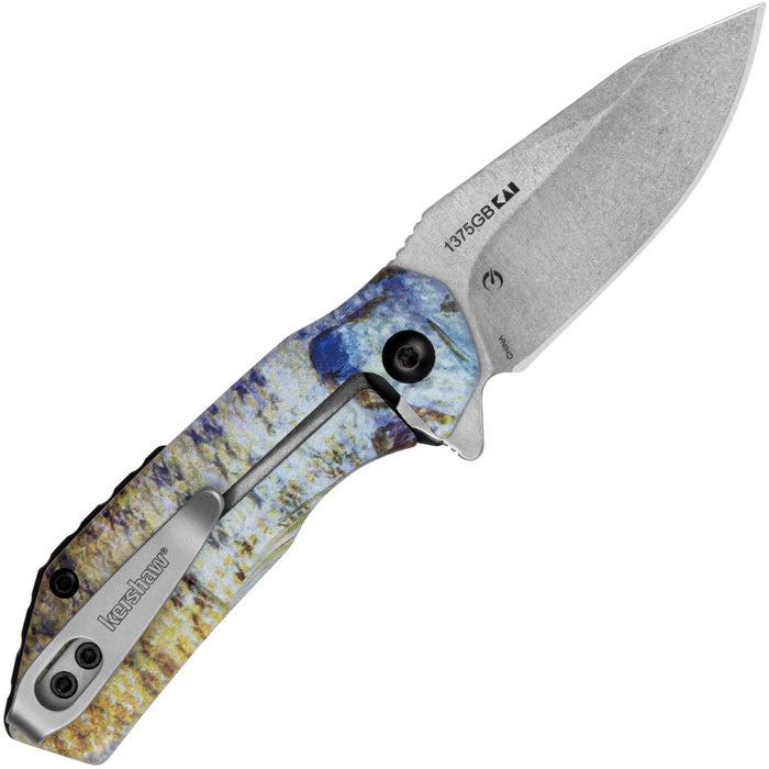 Kershaw 1375BG Valve (4Cr14, Stonewashed, Drop Point, Stainless Steel, Bluegill) Folding Knife