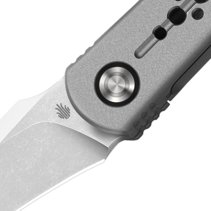 Kizer ZX-3499.2A3 Feist 2x Series (M390, Hawkbill, Stonewashed, Titanium) Pocket Knife