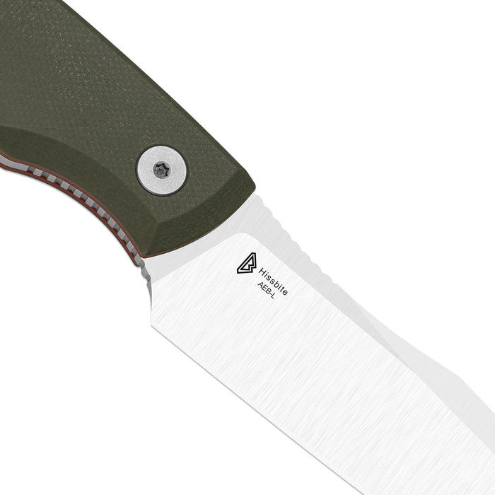 Kizer 1109A2 Hissbite (AEB-L, Drop Point, Satin, G10) Fixed Blade Knife