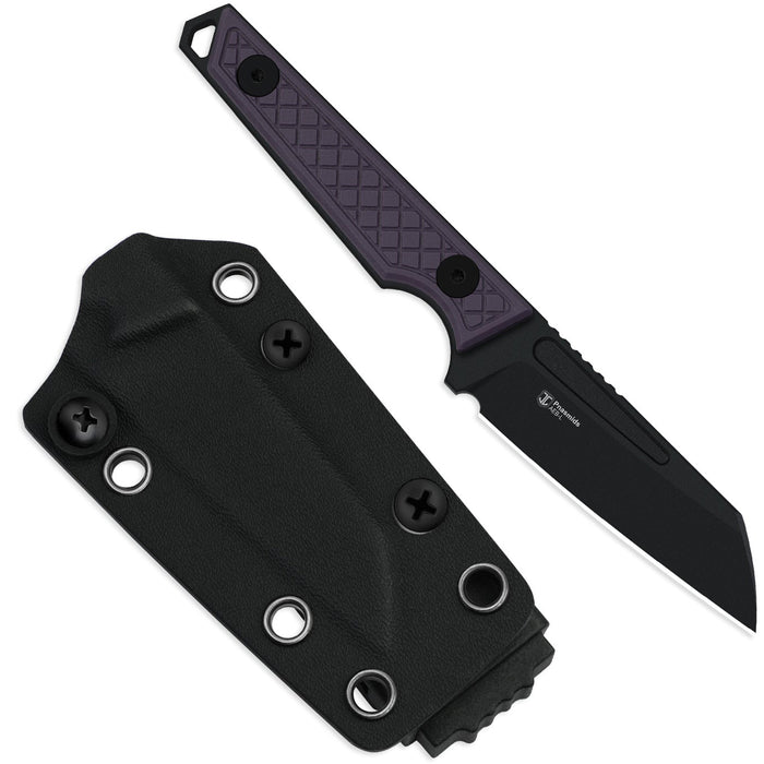 Kizer 1079A1 Phasmids (AEB-L, Sheepsfoot, G10, Purple) Fixed Blade Knife