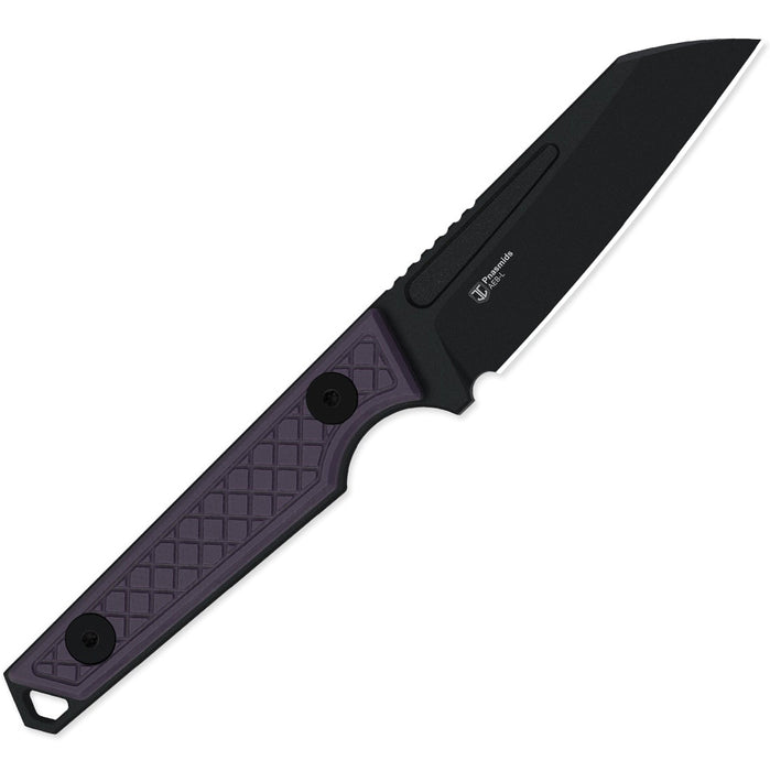 Kizer 1079A1 Phasmids (AEB-L, Sheepsfoot, G10, Purple) Fixed Blade Knife