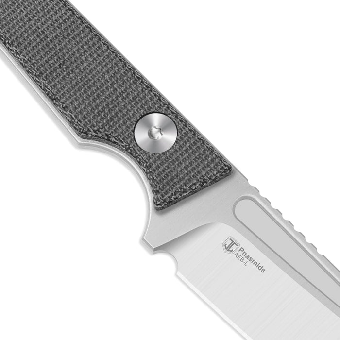 Kizer 1079A3 Phasmids (AEB-L, Sheepsfoot, Satin, Micarta) Fixed Blade Knife